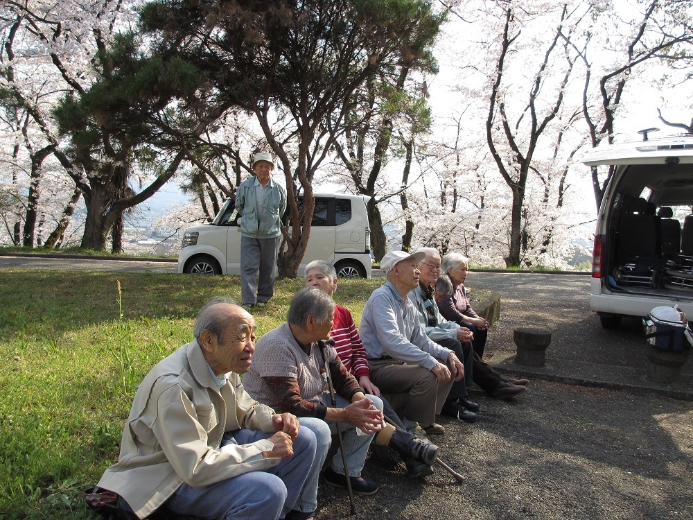 お花見　桜 (199).JPG